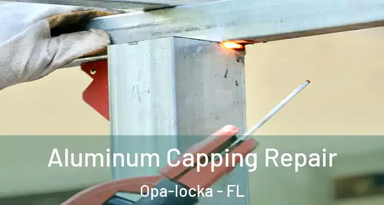  Aluminum Capping Repair Opa-locka - FL