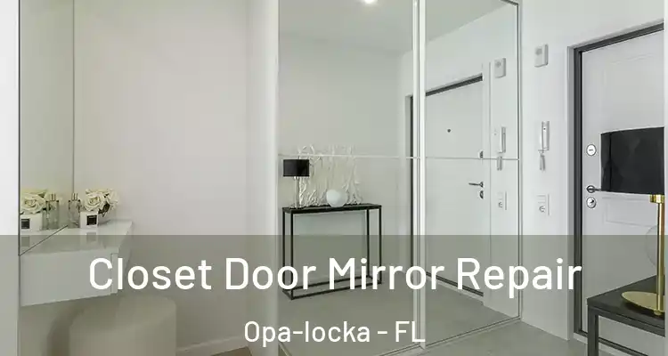  Closet Door Mirror Repair Opa-locka - FL