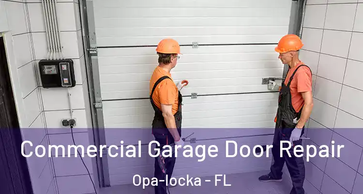  Commercial Garage Door Repair Opa-locka - FL