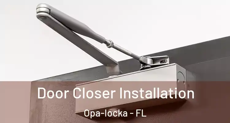  Door Closer Installation Opa-locka - FL