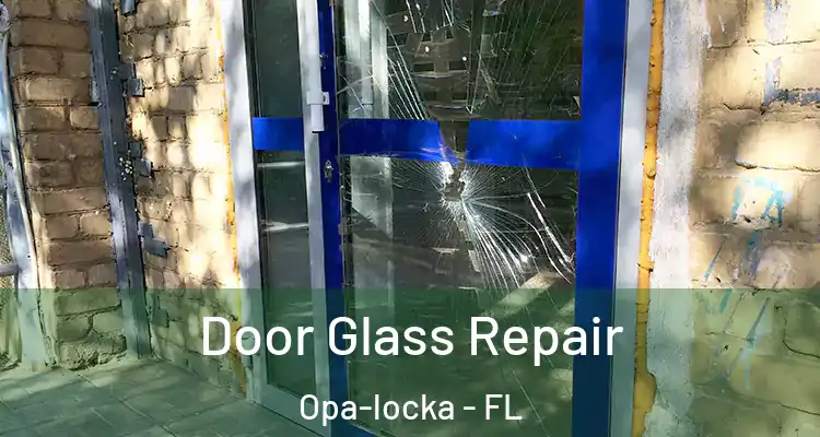  Door Glass Repair Opa-locka - FL