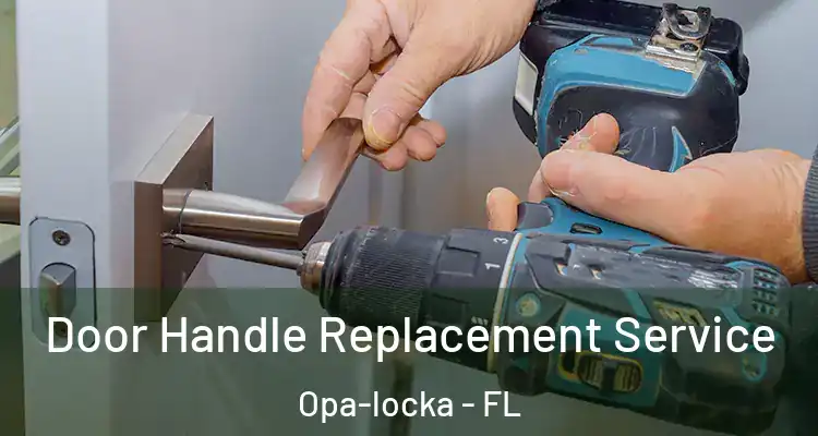  Door Handle Replacement Service Opa-locka - FL