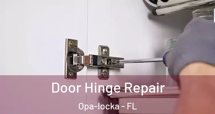  Door Hinge Repair Opa-locka - FL