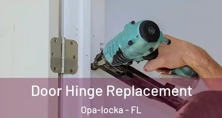  Door Hinge Replacement Opa-locka - FL