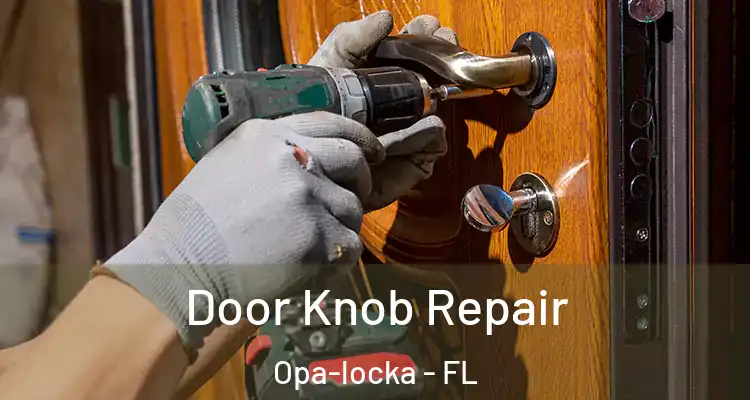  Door Knob Repair Opa-locka - FL