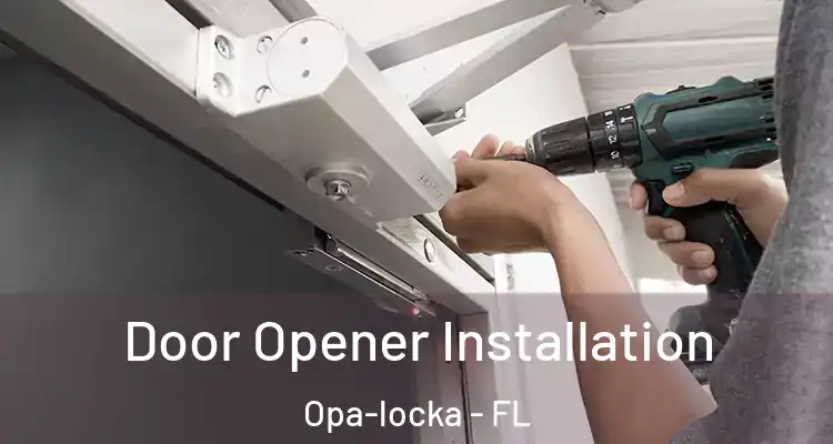  Door Opener Installation Opa-locka - FL