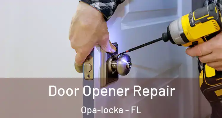  Door Opener Repair Opa-locka - FL