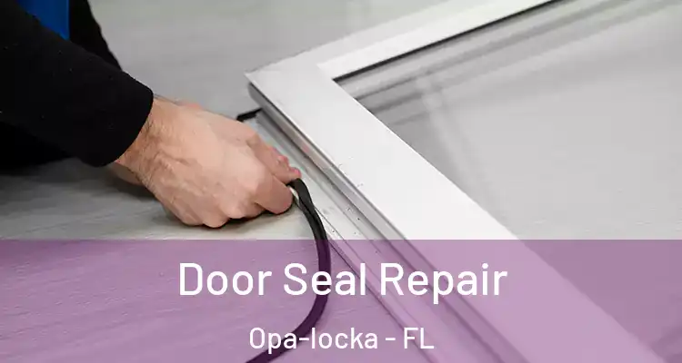  Door Seal Repair Opa-locka - FL