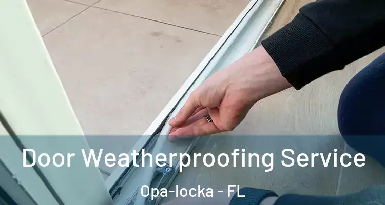  Door Weatherproofing Service Opa-locka - FL