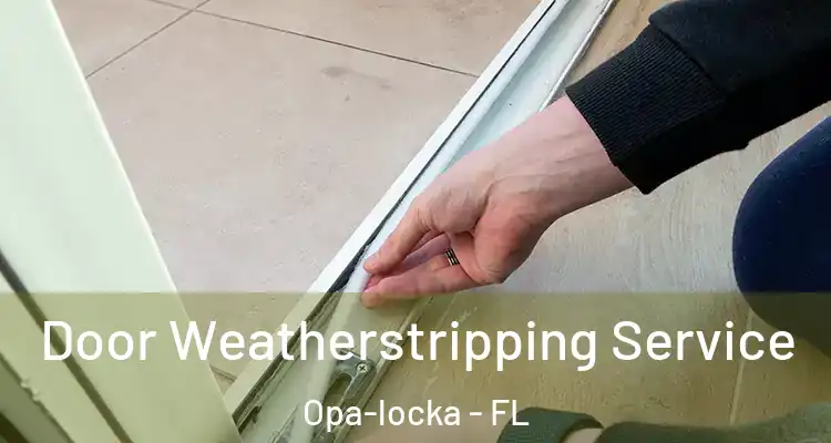  Door Weatherstripping Service Opa-locka - FL