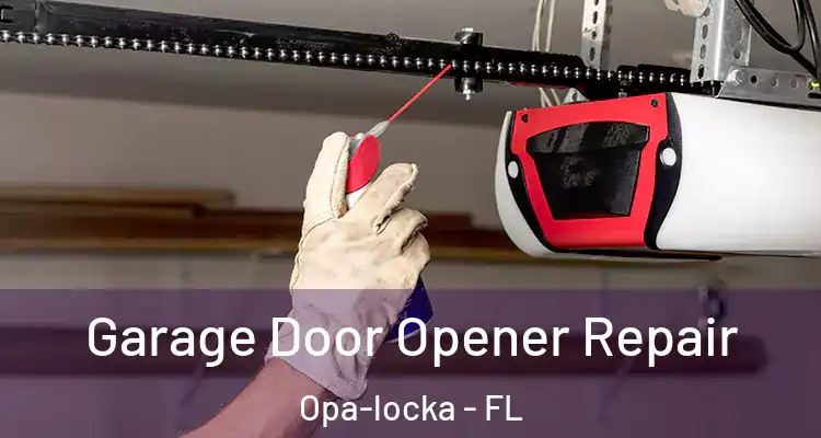  Garage Door Opener Repair Opa-locka - FL