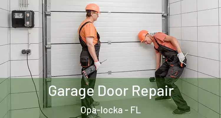  Garage Door Repair Opa-locka - FL