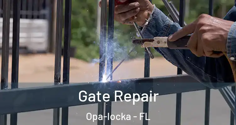  Gate Repair Opa-locka - FL