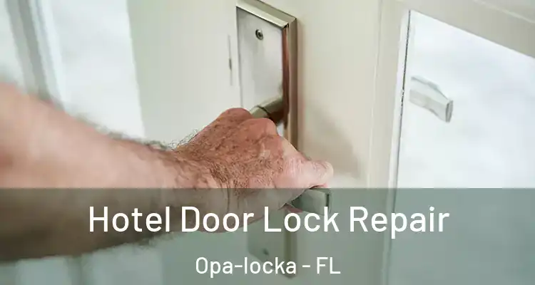  Hotel Door Lock Repair Opa-locka - FL