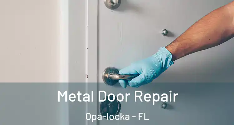  Metal Door Repair Opa-locka - FL