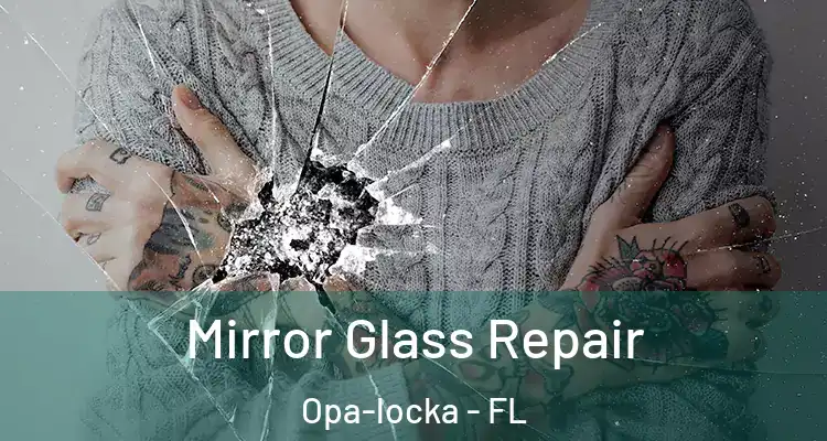  Mirror Glass Repair Opa-locka - FL