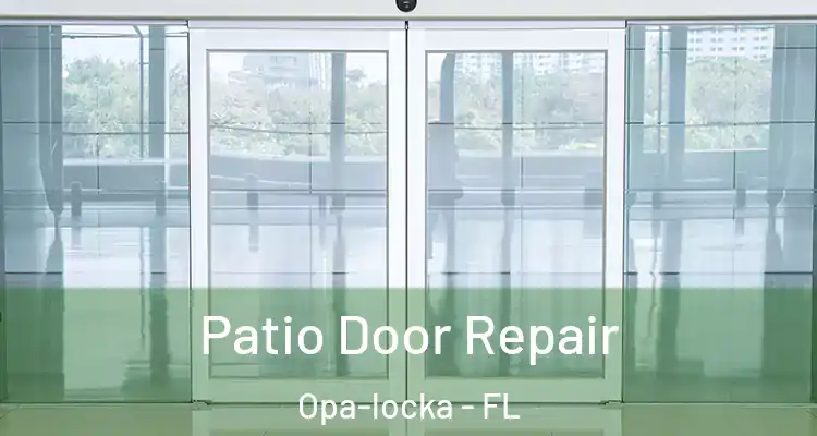  Patio Door Repair Opa-locka - FL