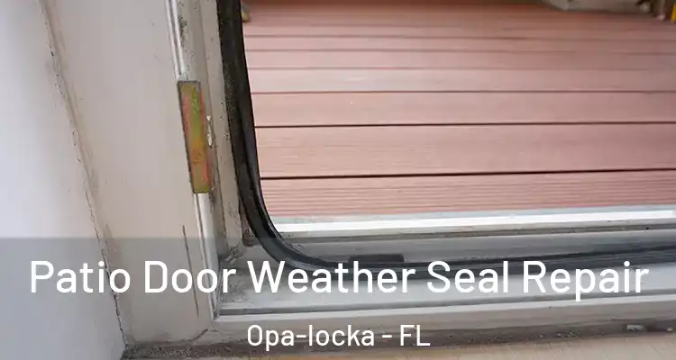  Patio Door Weather Seal Repair Opa-locka - FL