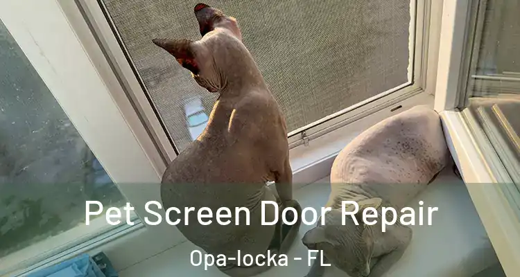  Pet Screen Door Repair Opa-locka - FL