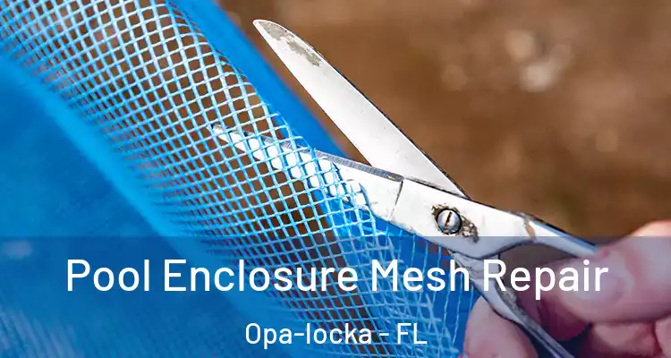  Pool Enclosure Mesh Repair Opa-locka - FL