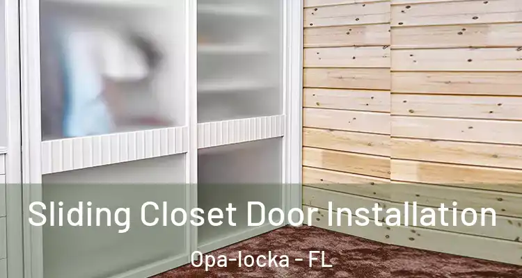  Sliding Closet Door Installation Opa-locka - FL