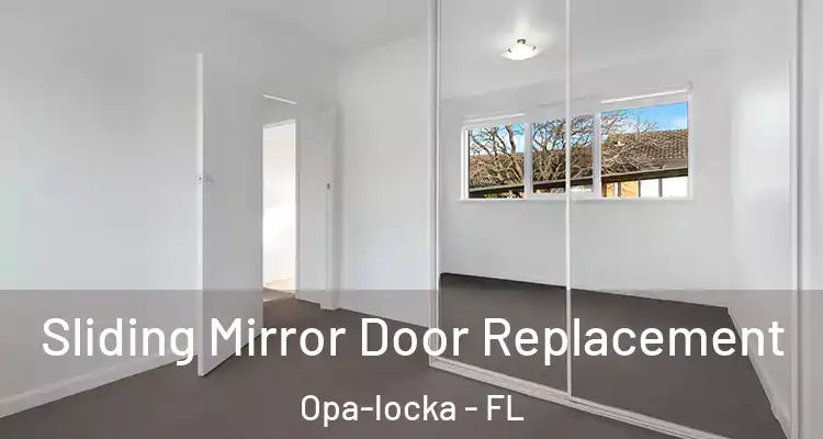  Sliding Mirror Door Replacement Opa-locka - FL