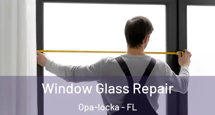  Window Glass Repair Opa-locka - FL